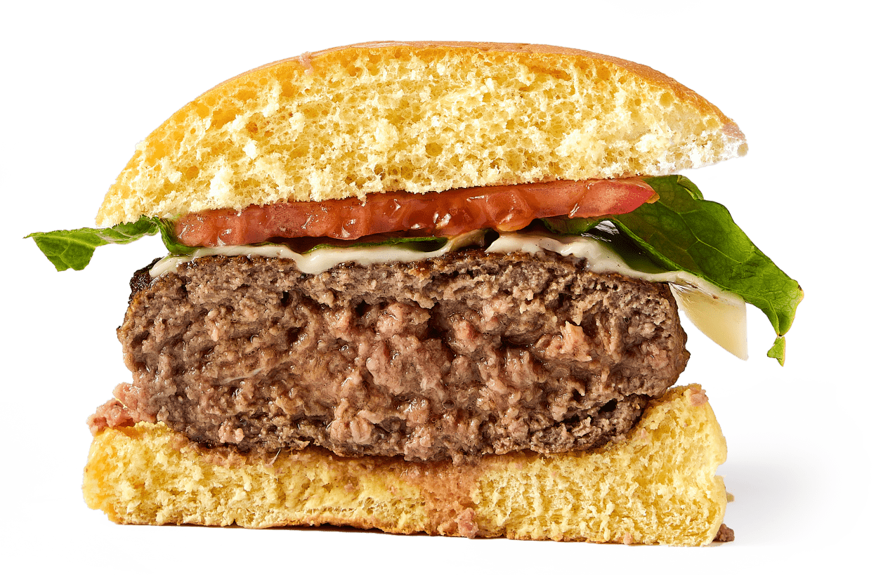 Best burger meat blend store